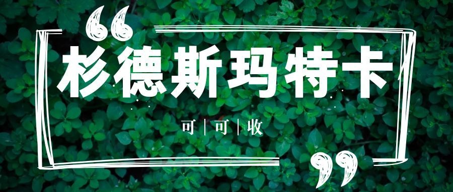 杉德斯玛特.jpg 杉德斯玛特.jpg